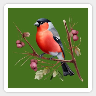 Watercolor Bullfinch on a Twig Sticker